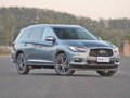 英菲尼迪QX60(进口) 图片