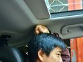 猎豹CS10 图片