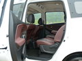 启辰M50V 图片