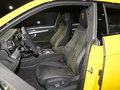 Urus 图片