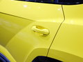 Urus 图片