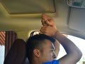 长安欧尚A800 图片