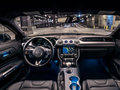 Mustang 图片