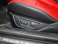 Mustang 圖片
