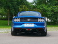 Mustang 图片