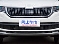 柯迪亚克 图片