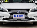 睿骋CC 图片