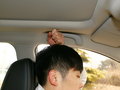 科雷傲 图片