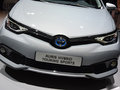 Auris 图片