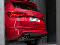 Cupra Ateca 图片