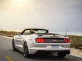 Mustang 图片