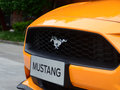 Mustang 圖片