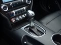 Mustang 图片