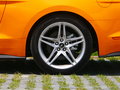 Mustang 圖片