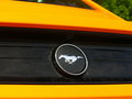 Mustang 圖片