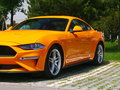 Mustang 圖片
