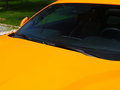 Mustang 圖片