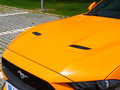 Mustang 圖片
