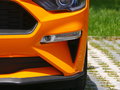 Mustang 圖片
