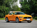 Mustang 图片