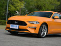 Mustang 图片