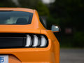 Mustang 图片
