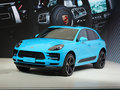 Macan 图片