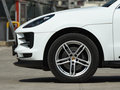 Macan 圖片