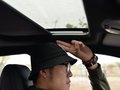 菲斯塔 图片