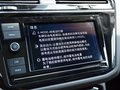 途观L新能源 图片