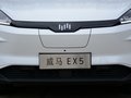 威马EX5 图片
