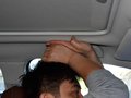 森林人 图片