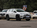 RAV4荣放 图片