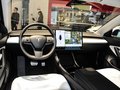 MODEL 3 (進(jìn)口) 圖片