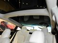 MODEL 3 (进口) 图片