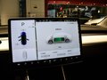 MODEL 3 (進(jìn)口) 圖片