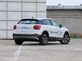 奥迪Q2L e-tron 图片