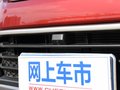 博骏 图片