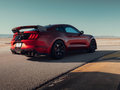 Mustang 图片