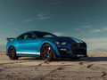 Mustang 图片