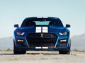 Mustang 图片