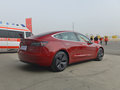 MODEL 3 (进口) 图片