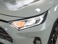RAV4荣放 图片