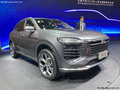 B21 图片
