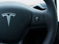Model Y 圖片