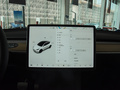 Model Y 图片
