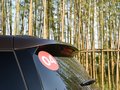 天逸 C5 AIRCROSS 圖片