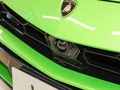 Urus 图片