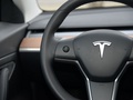 Model 3 图片
