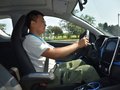 小蚂蚁 图片